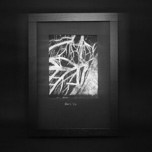 BRANCHES | SMALL | MERCH #8