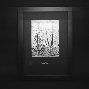 FOREST | SMALL | MERCH #5